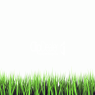 grass