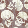 Skull Patterns2