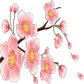 20090428_1ca1266e7b