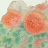 花之灵-2
