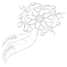 white dreamcatcher