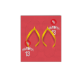 flip-flops 人字拖