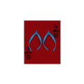 flip-flops 人字拖