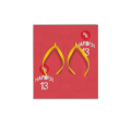 flip-flops 人字拖