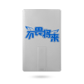 Card U Disk 8G 彩印卡片式U盘