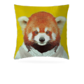 抱枕 50*50cm 抱枕 50*50cm